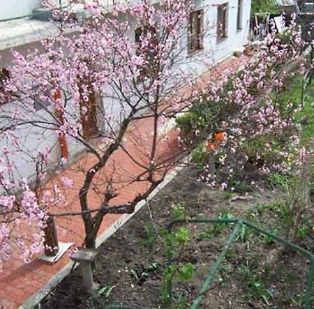 Juraj'S Outback Hostel Bratislava Exterior photo